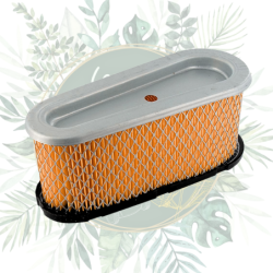 Filtre à  air Briggs&Stratton 496894S - Séries 282700, 283700 & 286700