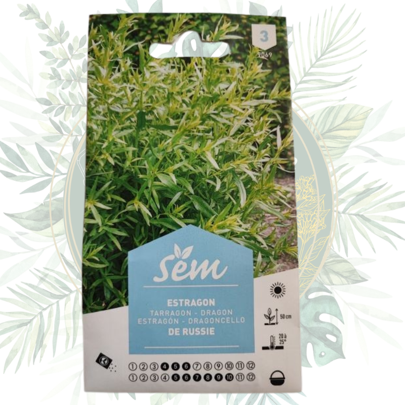 Semence Estragon