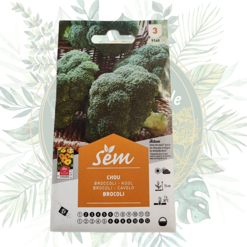 Semence Chou Brocoli Hâtif | Sanrival | Graines potager | Légumes