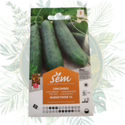 Semence Concombre Marketmore | Sanrival | Graines potager | Légumes