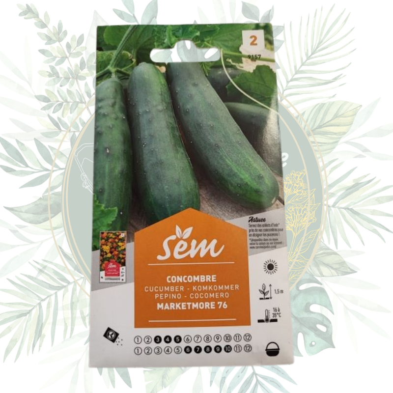 Semence Concombre Marketmore | Sanrival | Graines potager | Légumes