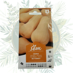 Semence Courge Butternut | Graines potager | Légumes | SANRIVAL