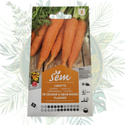 Semence Carotte de Colmar Flakkee | Sanrival | Graines potager | Légumes