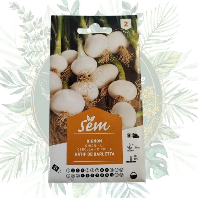 Oignons blanc hâtif de Barletta