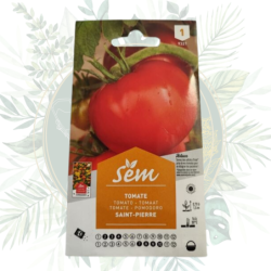 Tomate Saint-Pierre