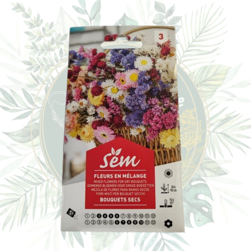 Semence Mélange de fleurs | Bouquet sec | Graines fleurs | Jardin