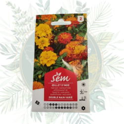 Œillet d'Inde double nain varié