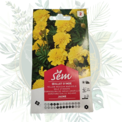 Semence Fleur Œillet d'Inde Jaune | Répulsif naturel | Jardin |Potager