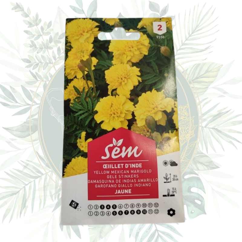 Semence Fleur Œillet d'Inde Jaune | Répulsif naturel | Jardin |Potager