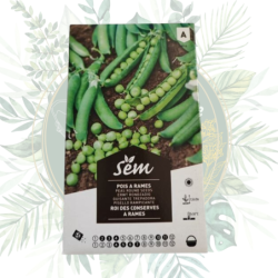 Graines Petit pois Rames Roi des conserves | Jardin | Potager | Pois