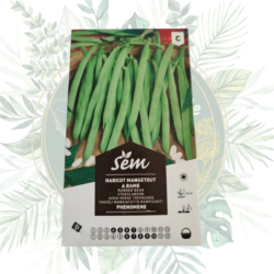 Haricot mangetout à  rame phénomène