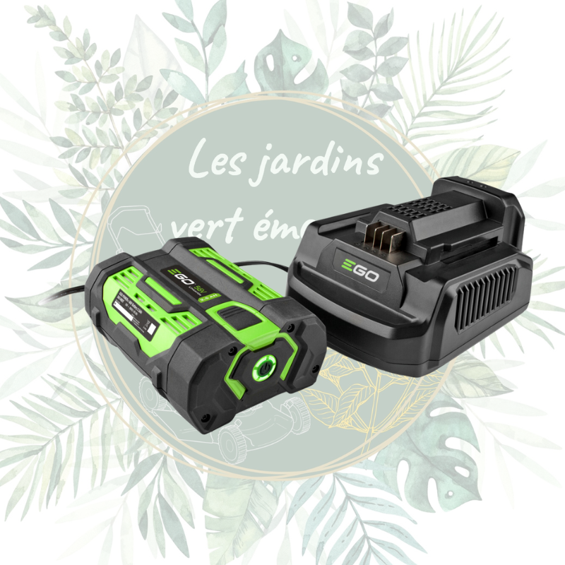 Chargeur standard EGO - CH2100E