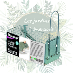 Nasse à  souris