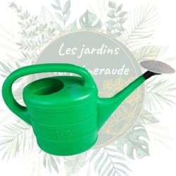 Arrosoir 12L | Livré avec pomme d'arrosage | Jardin | Achat en ligne