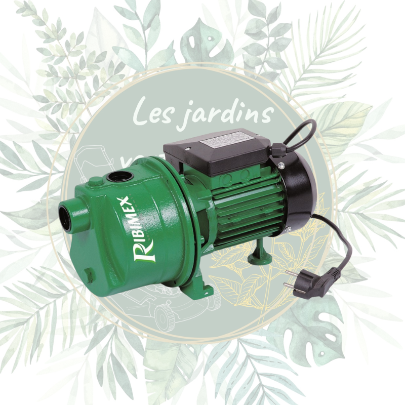 Pompe à eau de surface | Auto-amorçante | RIBIMEX | Arrosage | Jardin