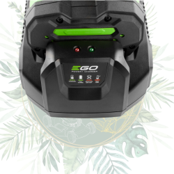 Chargeur standard EGO - CH2100E
