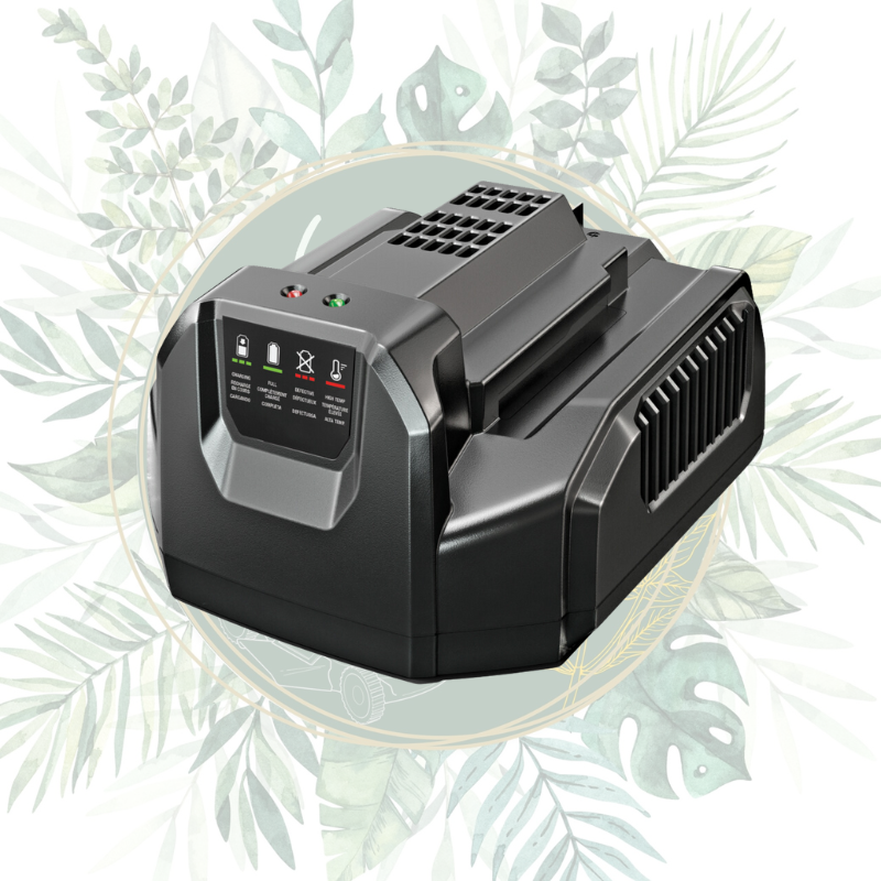 Chargeur standard EGO - CH2100E