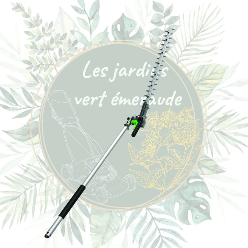Taille-haie - Système multi-outils EGO - HTA2000