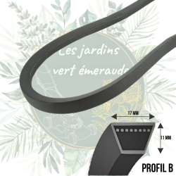 Courroie B54 (17x11mm) - Longueur ext. 1441mm
