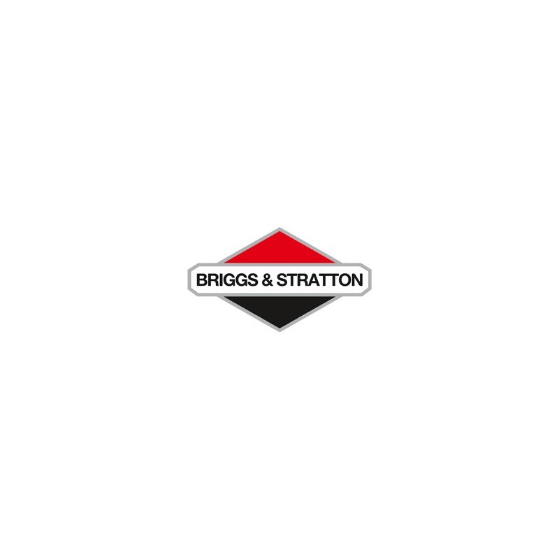 BRIGGS & STRATTON
