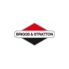 BRIGGS & STRATTON